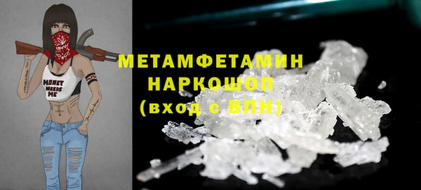 прущие грибы Богородск