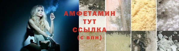 apvp Белокуриха