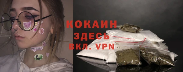 прущие грибы Богородск