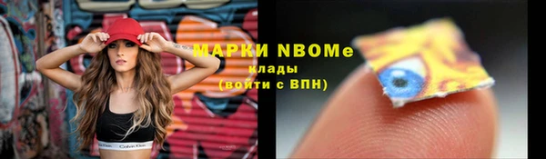 не бодяженный Бородино