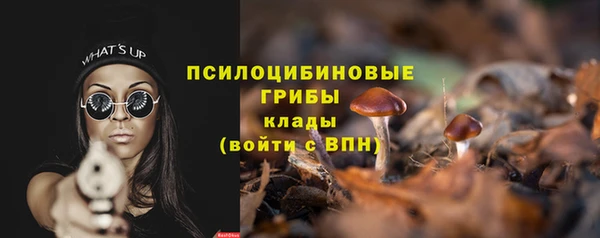 не бодяженный Бородино