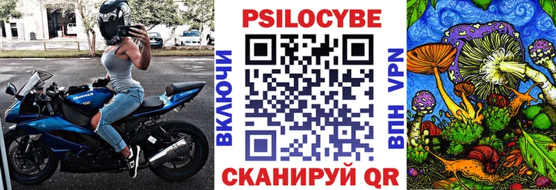 Псилоцибиновые грибы Psilocybine cubensis  Купить закладки  Медынь 